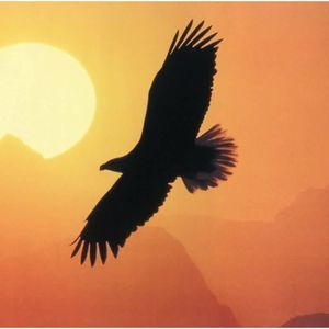 Meet your Posher, Jean